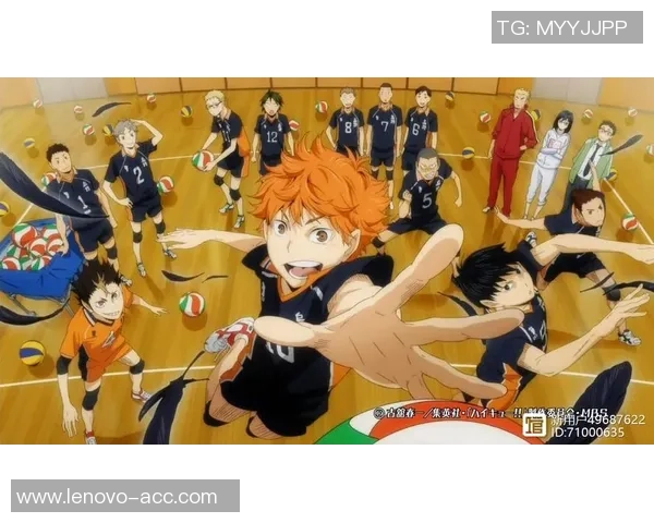 南京排球队的个人能力揭秘与排球技艺的深度探讨